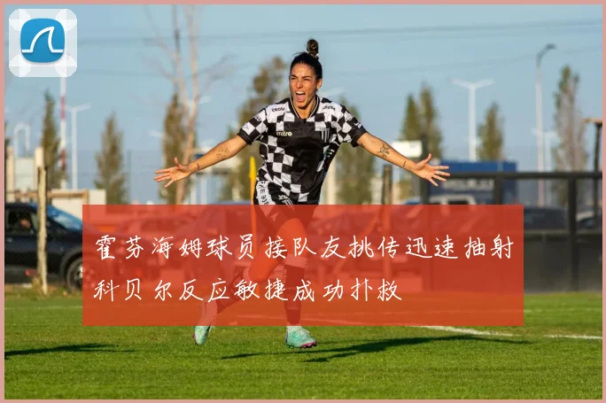 霍芬海姆球员接队友挑传迅速抽射科贝尔反应敏捷成功扑救