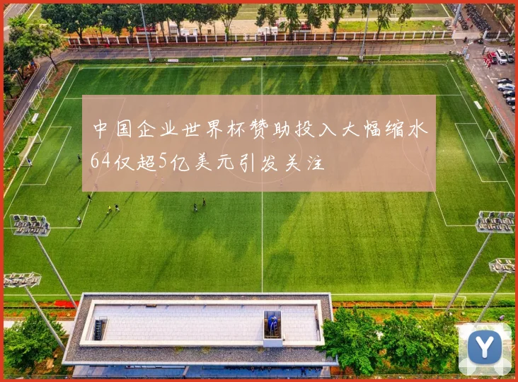 中国企业世界杯赞助投入大幅缩水64仅超5亿美元引发关注